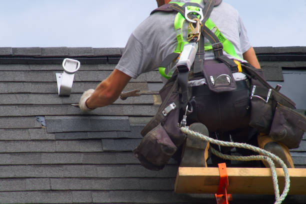 Best Roof Gutter Cleaning  in Santa Fe, TX