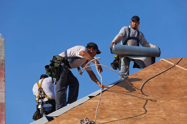 Roof Gutter Cleaning in Santa Fe, TX